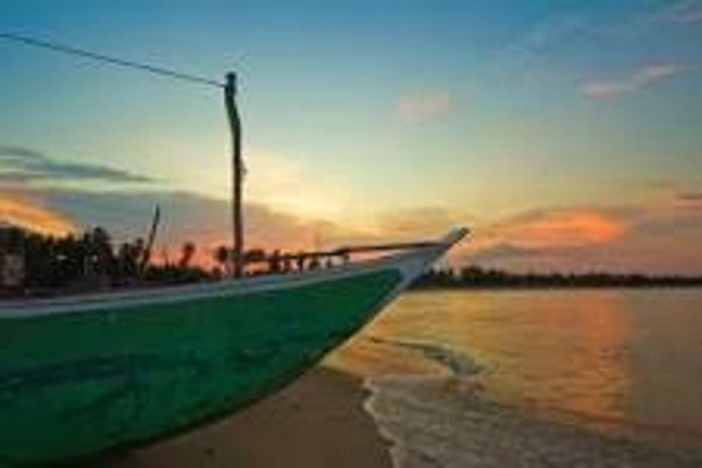 Homestay Zimbay *